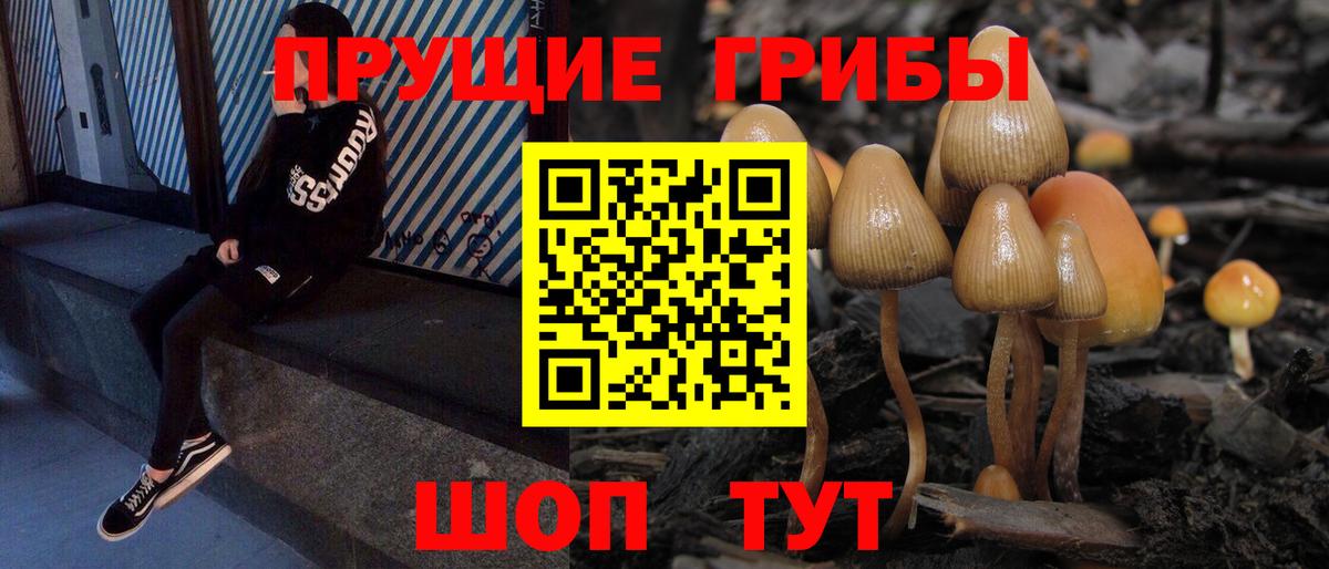 Галлюциногенные грибы Magic Shrooms  Вход с VPN  Артём  Галлюциногенные грибы MAGIC MUSHROOMS 