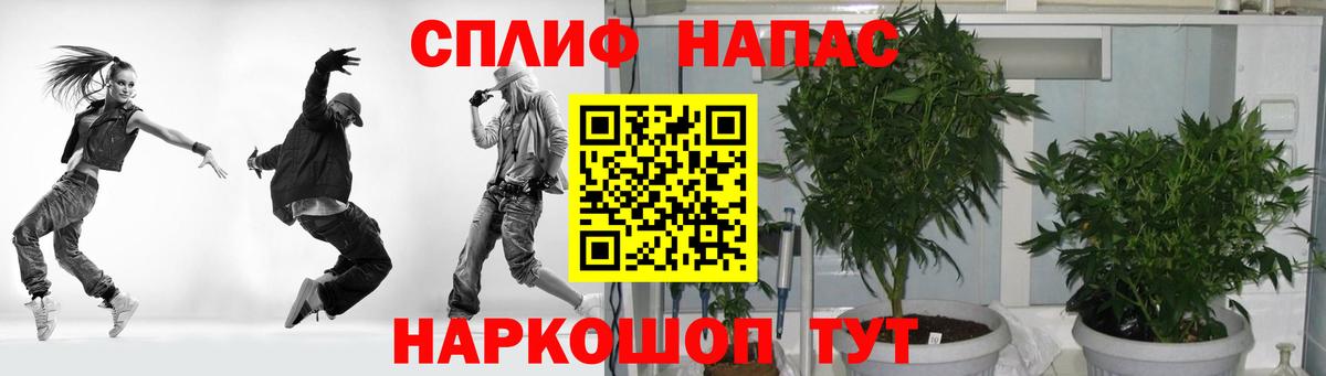 Артём  Канабис индика  Вход с VPN  Шишки марихуана конопля  МАРИХУАНА планчик  Марихуана гибрид 